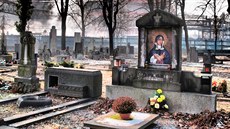 PONIENÁ PIETA. Leden 2012: Mariánskohorský hbitov po plenní vandal.