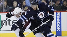 ZA PUKEM. Jan Hejda z Colorada (vlevo) a Blake Wheeler z Winnipegu se hrnou za