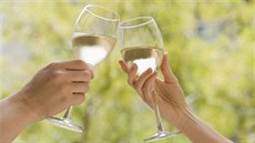 Putování Ze sklepa do sklepa ve Velkých Bílovicích nabízí jedinečnou možnost... Putování Ze sklepa do sklepa ve Velkých Bílovicích nabízí jedinečnou možnost...