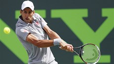 Novak Djokovi ve finále turnaje v Miami, kde porazil Rafaela Nadala.