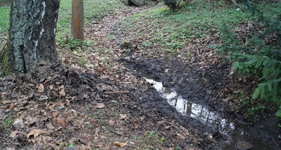 Bahno kontaminované chemikáliemi, které bylo u potoka v Borském parku, museli...
