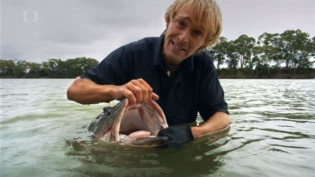Obří okoun Murray Cod. Na tento úlovek Jakub čekal deset let. Obří okoun Murray Cod. Na tento úlovek Jakub čekal deset let.