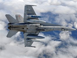 Letoun F-18 Hornet finskch vzdunch sil