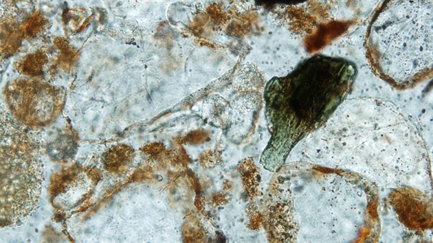 Vzorek saharskho prachu z Libye na snmku z optickho mikroskopu. Viditeln jsou zrna kemene (prhledn) a zrno aktinolitu (zelen; ze skupiny amfibolu)
