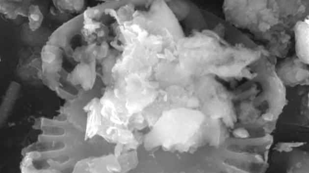 Snmek z elektronovho mikroskopu zobrazuje prachov stice sebran 19. nora 2014 v Brn. Vidt je rozsivka (jednobunn organismus s kemiitou schrnkou - z oplu) Prv ptomnost tchto rozsivek je jednm z ukazatel, e se jedn o prach pochzejc ze saharsk sti Afriky.
