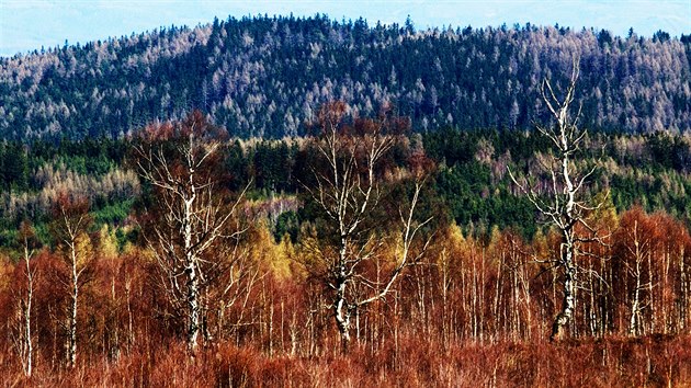 Vojensk jezd Brdy - clov dopadov plocha Jordn