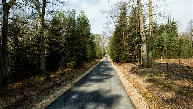 V hradeckch lesch vznik okruh pro cyklisty a bruslae dlouh 16 kilometr.