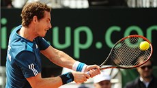 Britský tenista Andy Murray ve tvrtfinále Davis Cupu proti Itálii. 