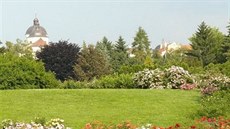 Květiny a okrasné dřeviny nehledejte jenom ve výstavních pavilonech, ale také v... Květiny a okrasné dřeviny nehledejte jenom ve výstavních pavilonech, ale také v...