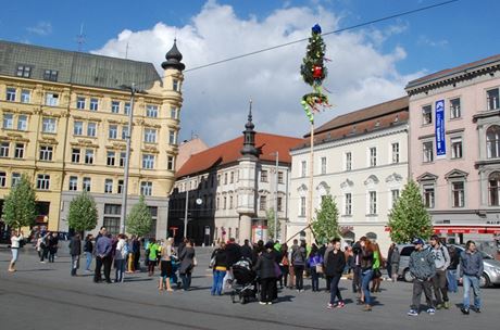 Vysokokoltí studenti stavli ve stedu 9. dubna májku jako symbol jara,...