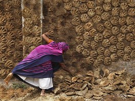LEJNA NA OTOP. Indická ena v Illáhábádu piplácává kravince na ze, aby se...