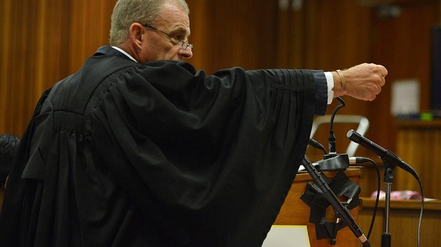 alobce Gerrie Nel griluje Oscara Pistoriuse bhem pondlnho vslechu (14. dubna)