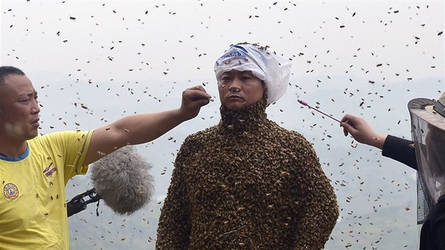 Asistenti pouvali cigarety a kadidlo, aby odlkali vely od velaova oblieje.