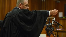 alobce Gerrie Nel griluje Oscara Pistoriuse bhem pondlního výslechu (14.