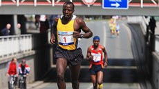 Pardubický půlmaraton Pardubický půlmaraton