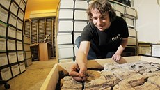 Paleontolog ZČM Jan Bureš očišťuje zkamenělinu prvohorního stromu cordaites z... Paleontolog ZČM Jan Bureš očišťuje zkamenělinu prvohorního stromu cordaites z...