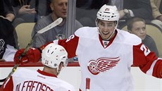 Tomá Juro a Daniel Alfredsson oslavují trefu Detroitu.