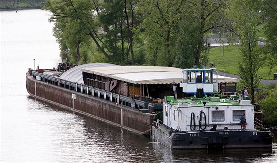 Lo Tajemství bratí Forman