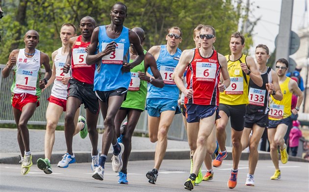 Pardubický vinaský plmaraton