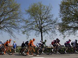 Momentka z cyklistickho zvodu Amstel Gold Race.