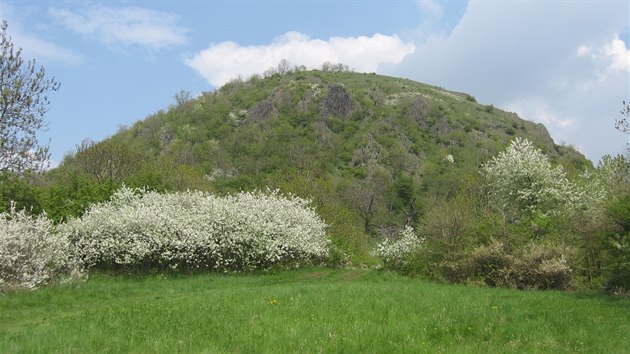 Mil je skalnat ediov vrch v zpadn sti CHKO esk stedoho. Nachz se na nm prodn rezervace Mil s teplomilnou skaln a stepn flrou.