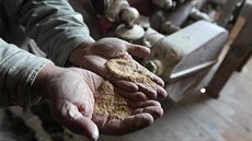"Prvním předpokladem rozdílu je kvalitní surovina. Potom technologie... "Prvním předpokladem rozdílu je kvalitní surovina. Potom technologie...