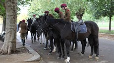 Oblíbeným koníkem v Anglii je stále jízda na koni, v zemi existují stovky...