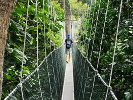 Nejdelí provazový most svta Taman Negara Canopy Walkway, Malajsie, asi 150 km...