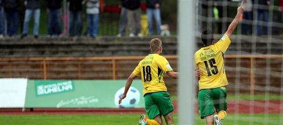 Fotbalisté Sokolova. Ilustraní snímek.