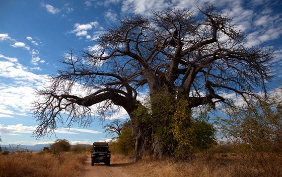 Vlastním autem jsme dorazili a do Zimbabwe  bývalé oatky Afriky.