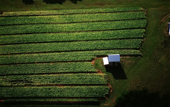Letecký pohled na tabákovou farmu ve stát Virginia.