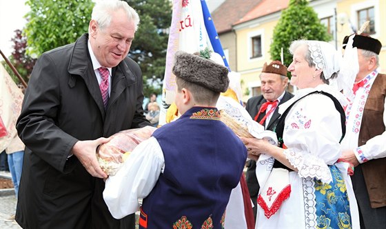 Prezident Milo Zeman cestoval po kraji i loni v kvtnu. Takto ho vítali lidé v Peticích na Plzesku.