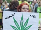 17. roníku Million Marihuana March, pochodu za legalizaci konopí, se...