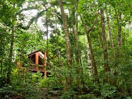 Canopy Treehouses (Malanda, Austrálie). V severoaustralském regionu Cairns se...