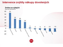 "Na konci roku 2013 (oproti roku 2012) vrazn vzrostly nkupy zahraninch...