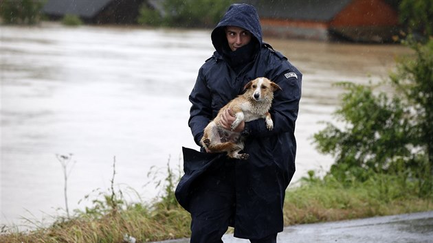 Srbsk policista se psem, kterho u msta Lazarevac zachrnil ped povodn (16. kvtna 2014)