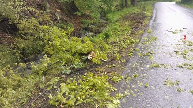 Tsn ped vozidlo na silnici Odry - Splov v Moravskoslezskm kraji spadl vlivem vtru a podmoen pdy strom a idika ji nestaila zastavit a narazila do nj (15. kvtna)