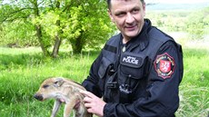 Zraněné sele strážníci našli na břehu Habrovického rybníka. Zraněné sele strážníci našli na břehu Habrovického rybníka.