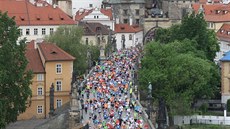 Bci praského maratonu. Na tra se v nedli ráno vydalo 10 tisíc bc (11....