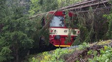 Na osobní vlak u Starého Města na Šumpersku, který zastavil před spadlým... Na osobní vlak u Starého Města na Šumpersku, který zastavil před spadlým...