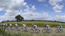 Cyklistický peloton na trati Giro d' Italia