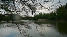 Jihoeské rybníky mají úasnou atmosféru.