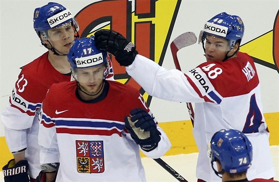GÓL NADJE. eský hokejista Vladimír Sobotka sníil v utkání s Francií na 1:3.