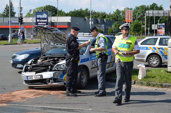 Policisté nebrzdili, viml si svdek nehody.