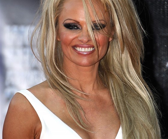 Pamela Andersonová na World Music Awards (Monte Carlo, 27. kvtna 2014)