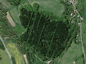 Pohled z vky na takzvan Hitlerv les u Zubrnic legendu o npisu nabourv.