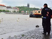 Na náplavce Hoejího nábeí se hladina Vltavy dotýká zaparkovaných aut. Na...