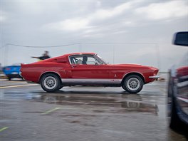 Sraz Ford Mustang na praskm Letiti Vclava Havla.