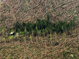 Vichice polámala desítky tisíc strom ve Vysokých Tatrách na Slovensku. Snímek...