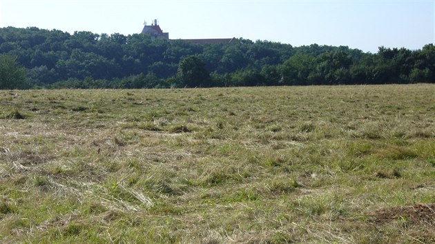 Rozshl travnat plocha s rozlohou 2,7 hektaru ve Skoroticch je vhodn pro stavbu rodinnch domk.